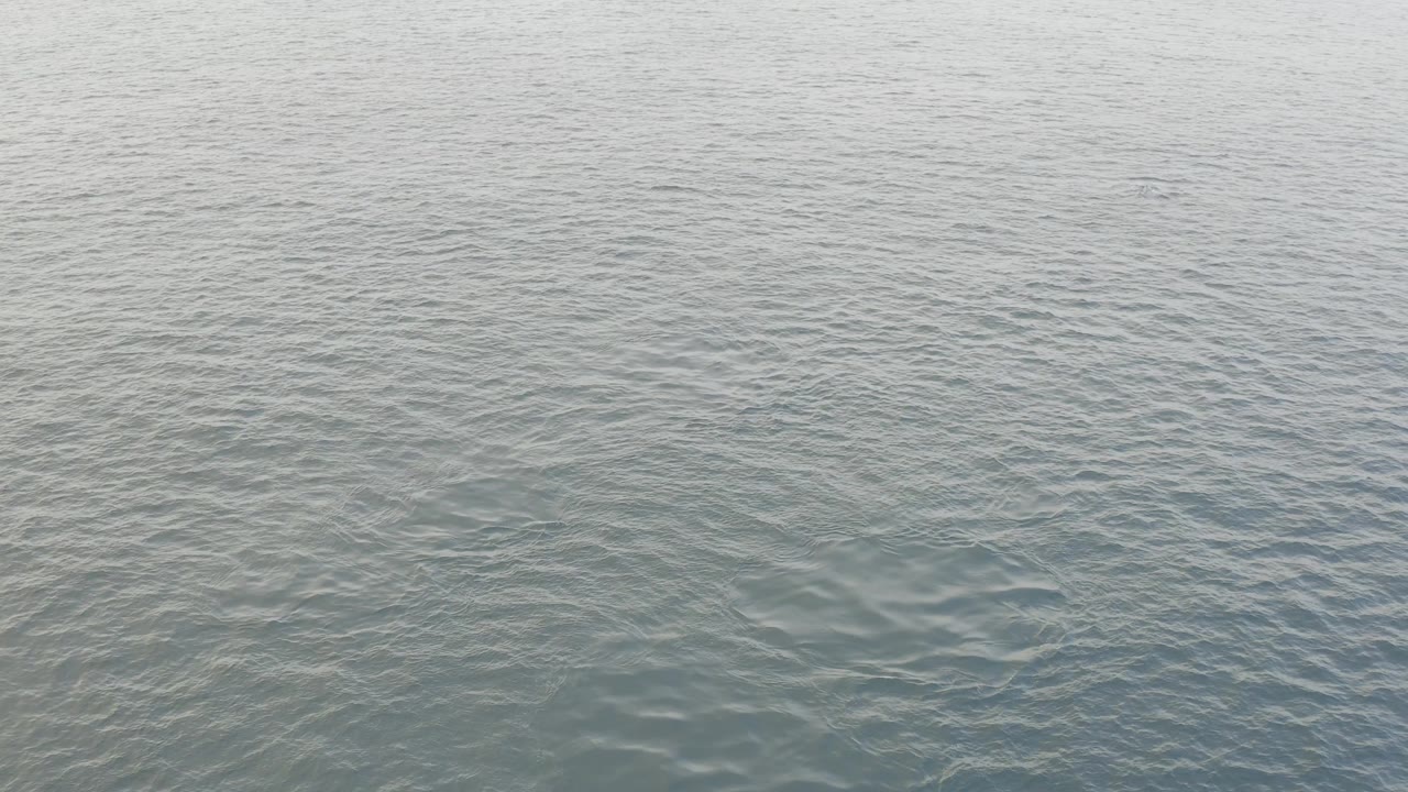 Wide water-only frame from Baja California Sur, Mexico, showing soft daylight on rippled ocean surface with no visible people.