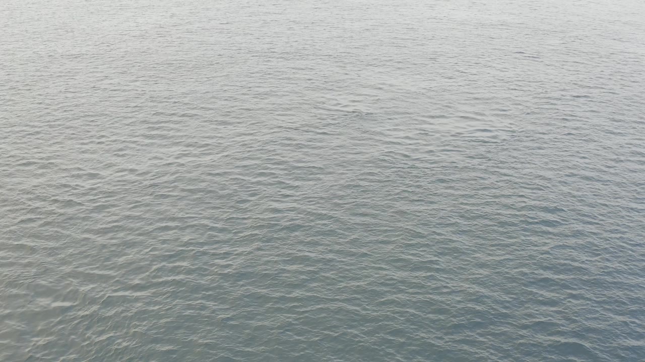 Calm ocean surface in Baja California Sur, Mexico, under even daylight, with muted blue-gray tones and no visible people.