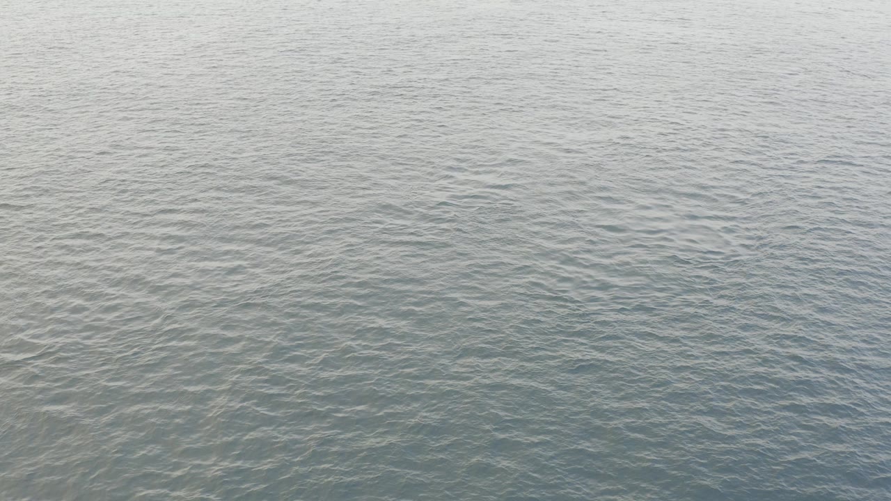 Muted blue gray ocean surface in Baja California Sur fills the frame at the start of the clip, with soft reflected light and no visible people.