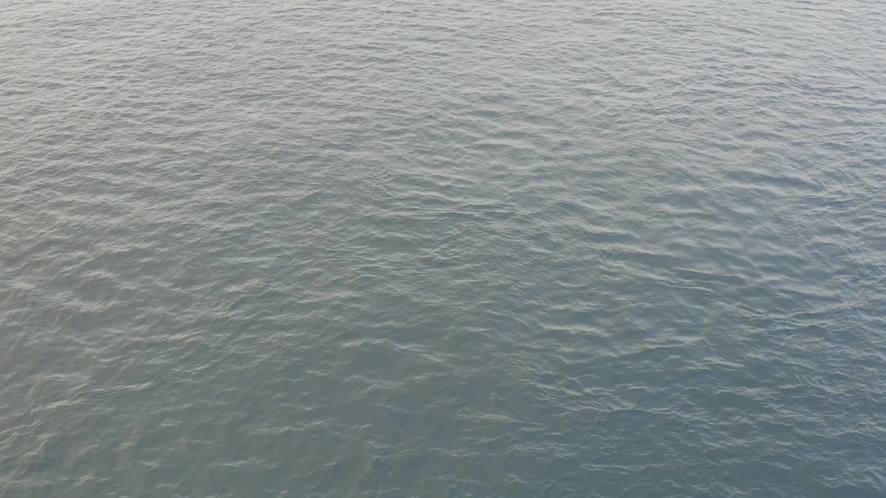 A close view of the Baja California Sur sea surface shows muted blue-gray water and fine ripples, with no shoreline, boats, or visible people.