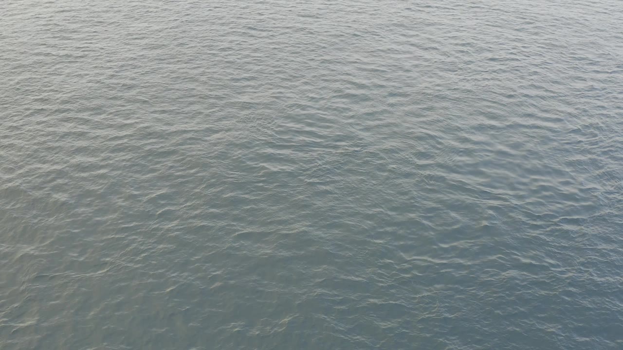 The frame shows open Baja California Sur water with greenish patches beneath the rippled surface and no visible people or objects.