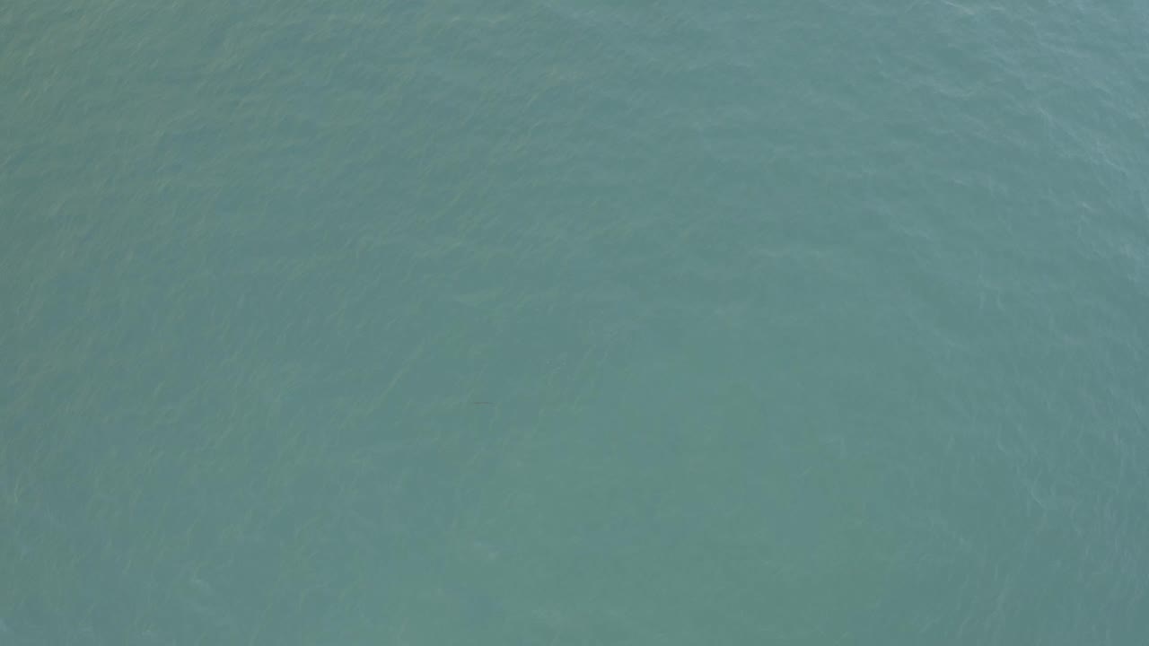 Overhead blue-green ocean surface in Baja California Sur, Mexico, with soft ripples and no visible people.