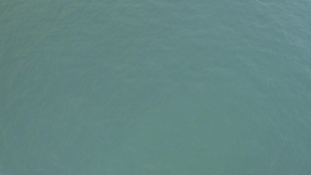 Blue-green seawater fills the frame in Baja California Sur, Mexico, with faint wave streaks and no visible people.