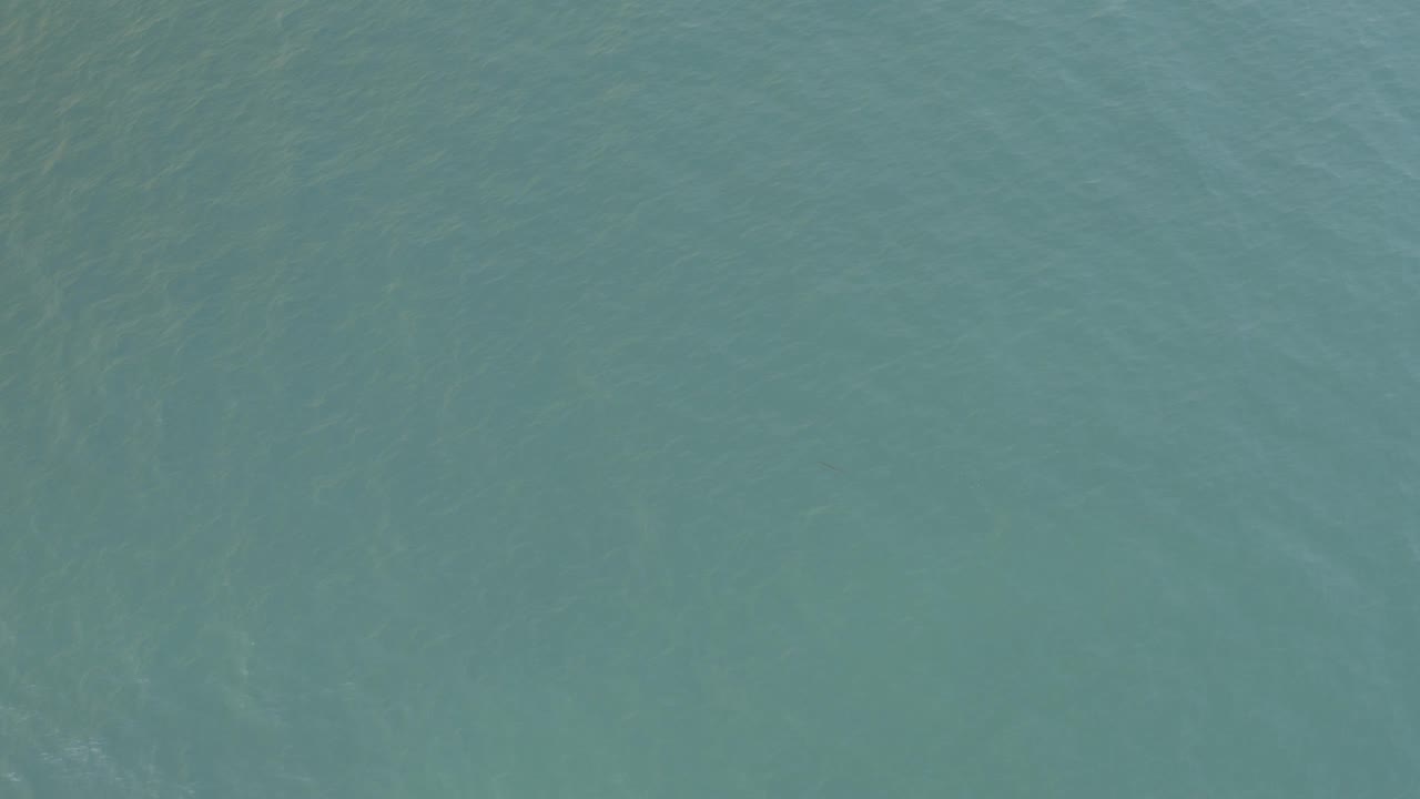 Teal ocean surface with soft ripples.