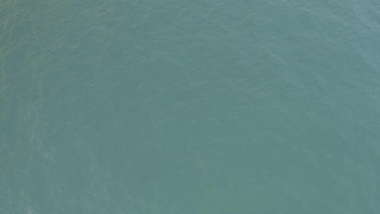 Blue-green ocean surface with faint ripples