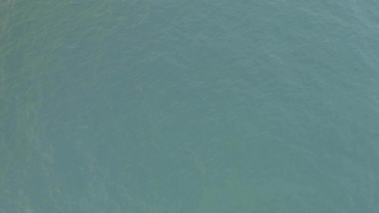 Aerial frame of Baja California Sur water showing soft current lines through a blue-green surface, with no visible people or boats.