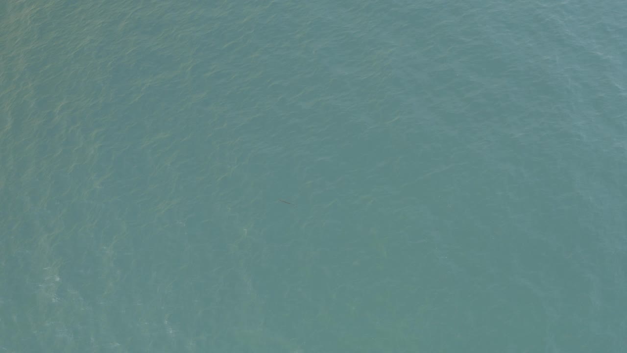 Opening frame of clear blue-green ocean water in Baja California Sur, Mexico, with soft ripples and no visible people.