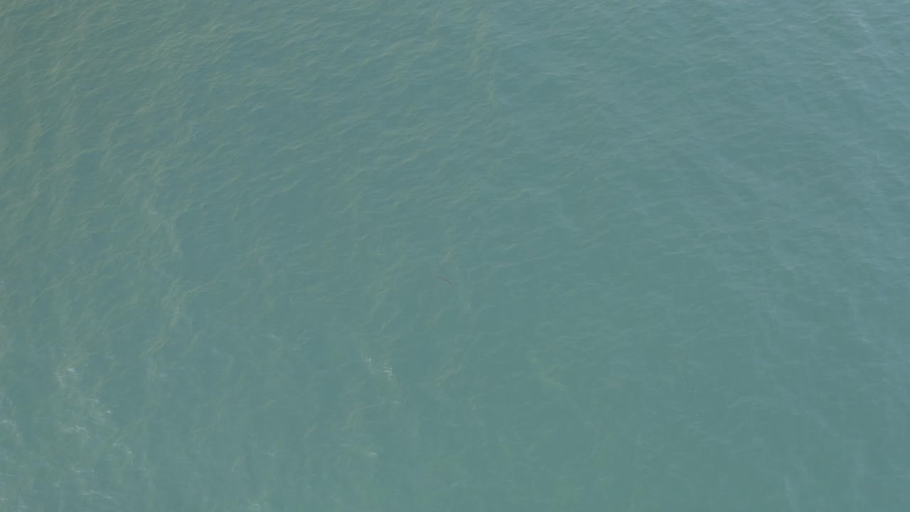 Clear ocean water with soft ripples and green-blue tones.