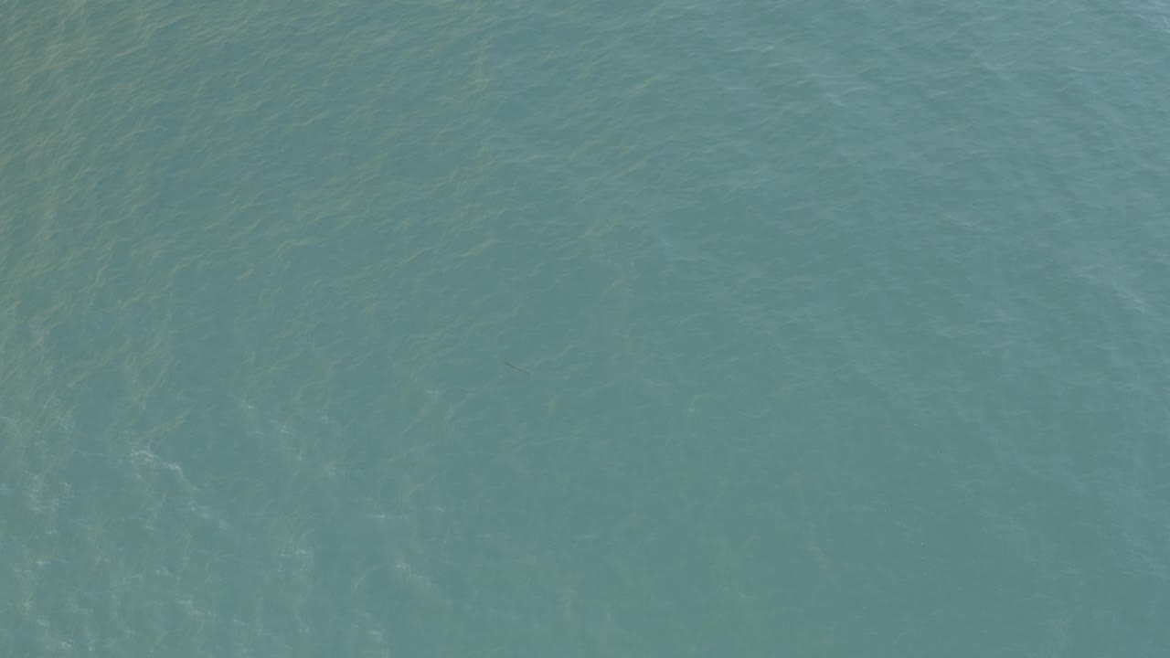 Aquamarine ocean surface in Baja California Sur, Mexico, filling the frame with faint ripples and no visible people.