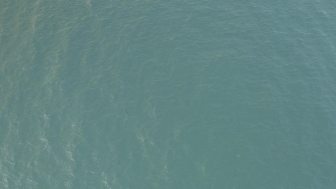 Blue-green ocean surface with faint underwater streaks.