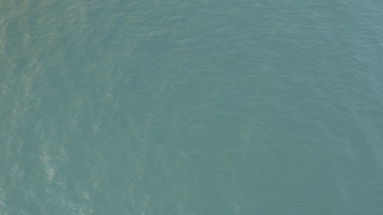 Blue ocean surface with faint ripples and light bands.