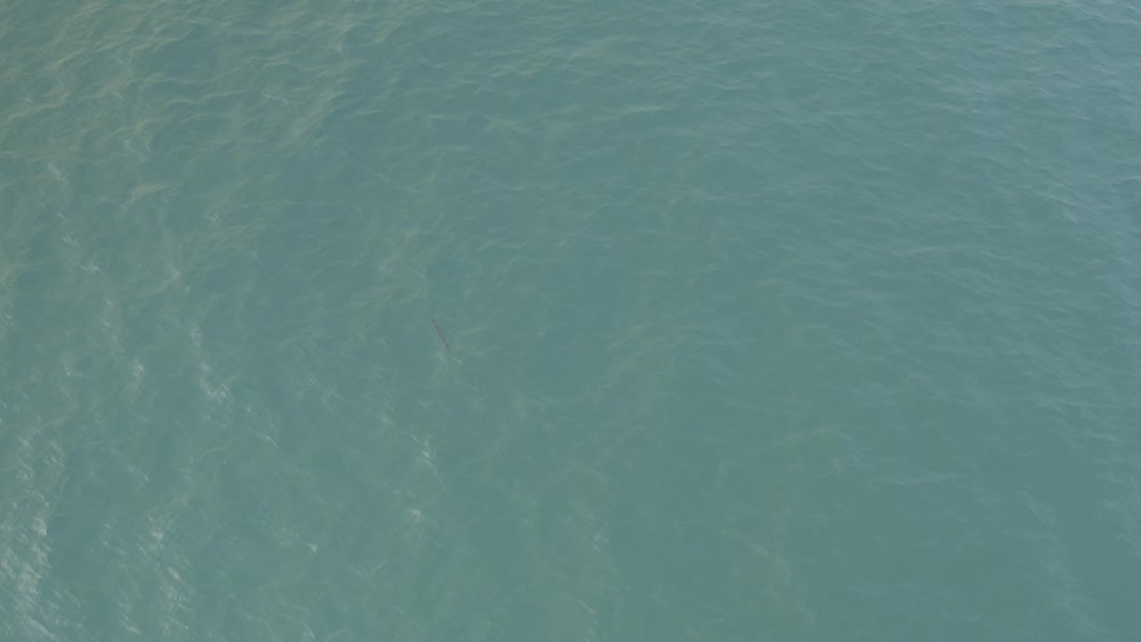 Wind-ruffled green water with pale reflective streaks.