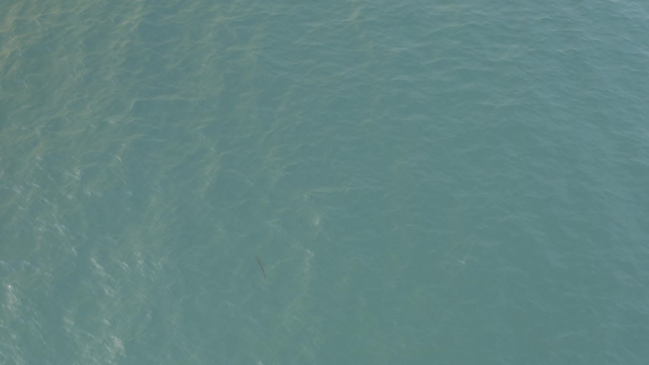Overhead view of blue-green ocean water in Baja California Sur, Mexico, with soft ripple patterns and no visible people.