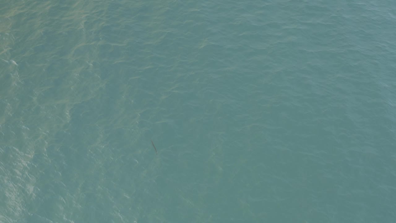 Downward view of blue-green sea in Baja California Sur, Mexico, where pale underwater patterns show through the rippled surface with no visible people.