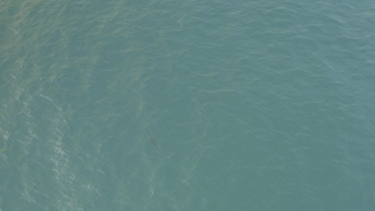 Top-down view of blue-green ocean water in Baja California Sur, Mexico, with soft ripples and no visible people.