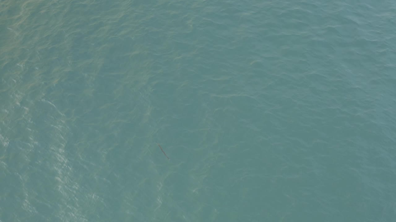 Calm ocean water with pale streaks under the surface.