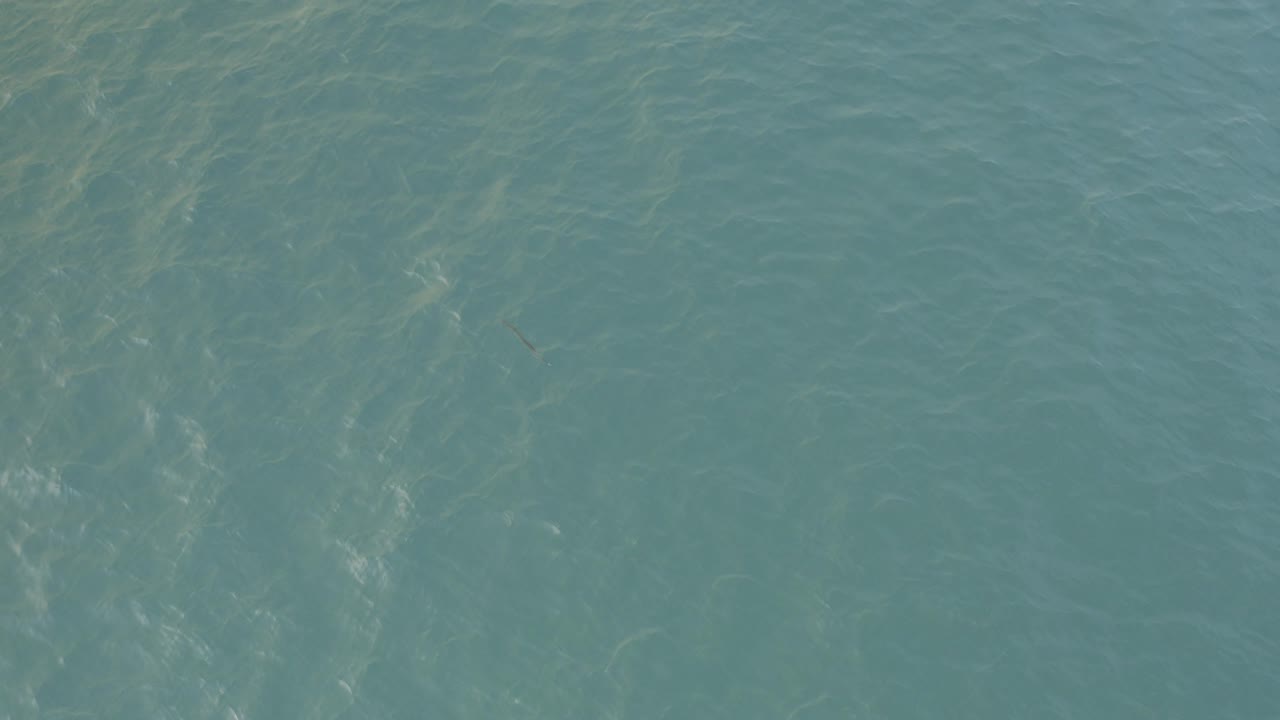 Blue green water surface in Baja California Sur, Mexico, with soft ripples and pale reflected light, no visible people.