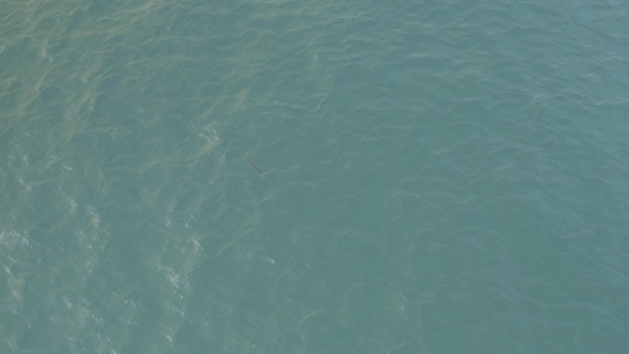 Rippling turquoise water with faint bright streaks across the surface.