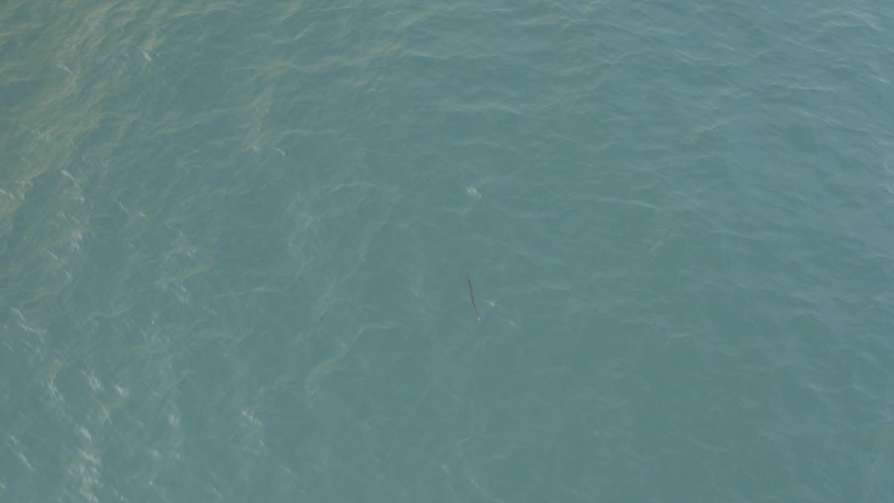 Overhead view of green-blue ocean water in Baja California Sur with pale ripple streaks and no visible people.