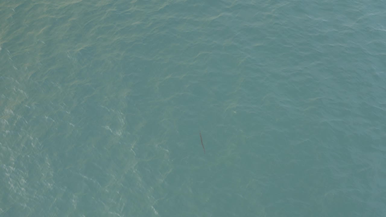 Turquoise ocean surface seen from above