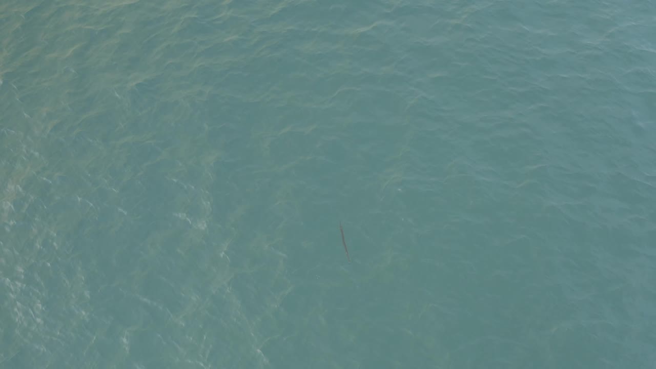Aerial frame of blue sea in Baja California Sur, showing faint wave patterns and a slim dark line in the water, with no visible people.