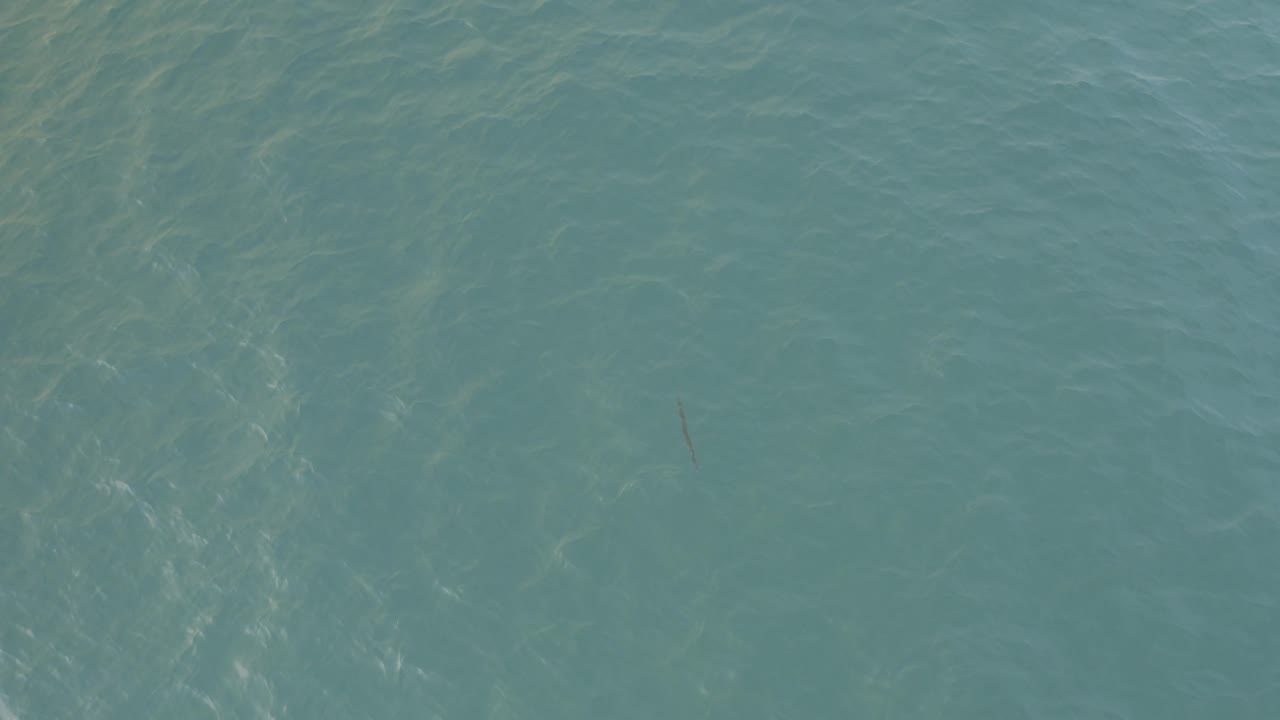 Overhead Baja California Sur water frame with soft ripples, muted teal color, and no visible people or vessels.