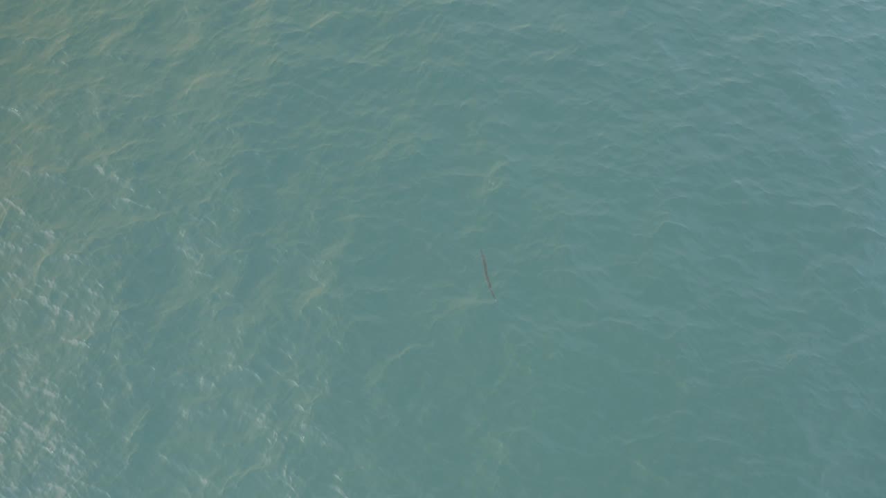 Aerial view of turquoise sea in Baja California Sur with brighter streaks crossing the water and no visible people.