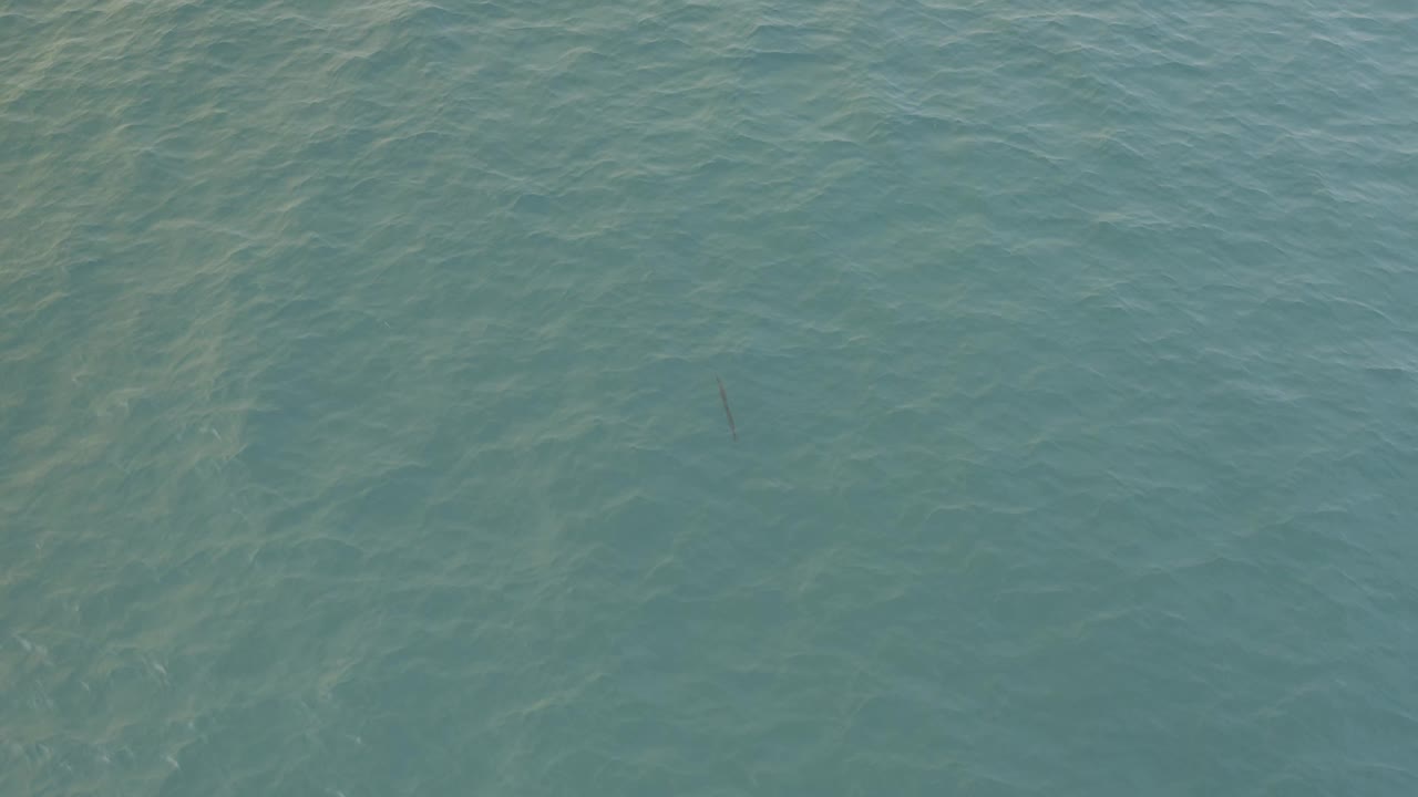 Teal-blue ocean surface in Baja California Sur fills the frame with pale wind ripple lines and no visible people.