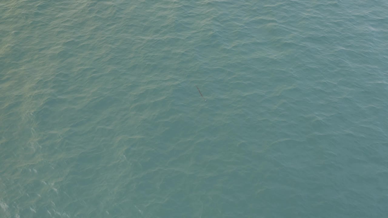 Calm teal sea surface with ripples
