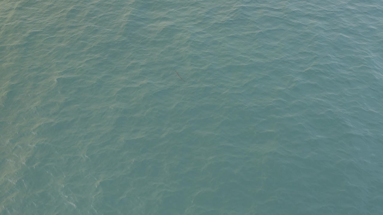Teal ocean water fills the frame with small ripples.