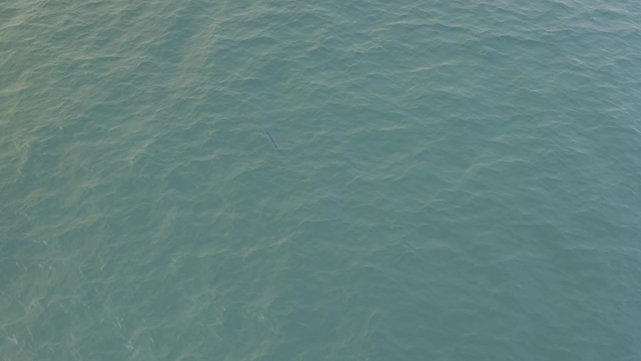 Open teal water in Baja California Sur shows pale, wavering light patterns beneath the surface and no visible people.
