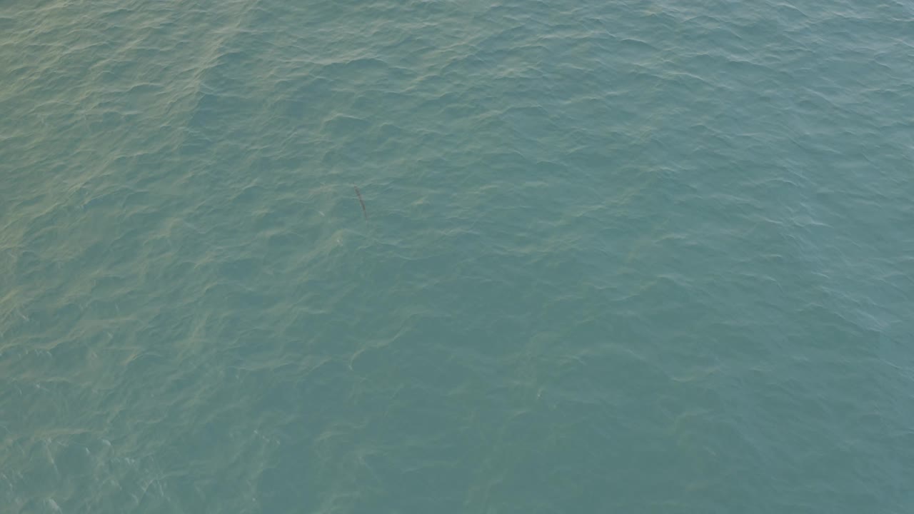 Muted blue-green ocean surface in Baja California Sur fills the frame, with denser ripple texture across the water and no visible people.