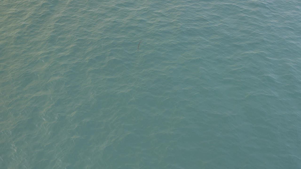 Overhead view of blue-green water in Baja California Sur with soft ripples, pale underwater streaks, and no visible people.