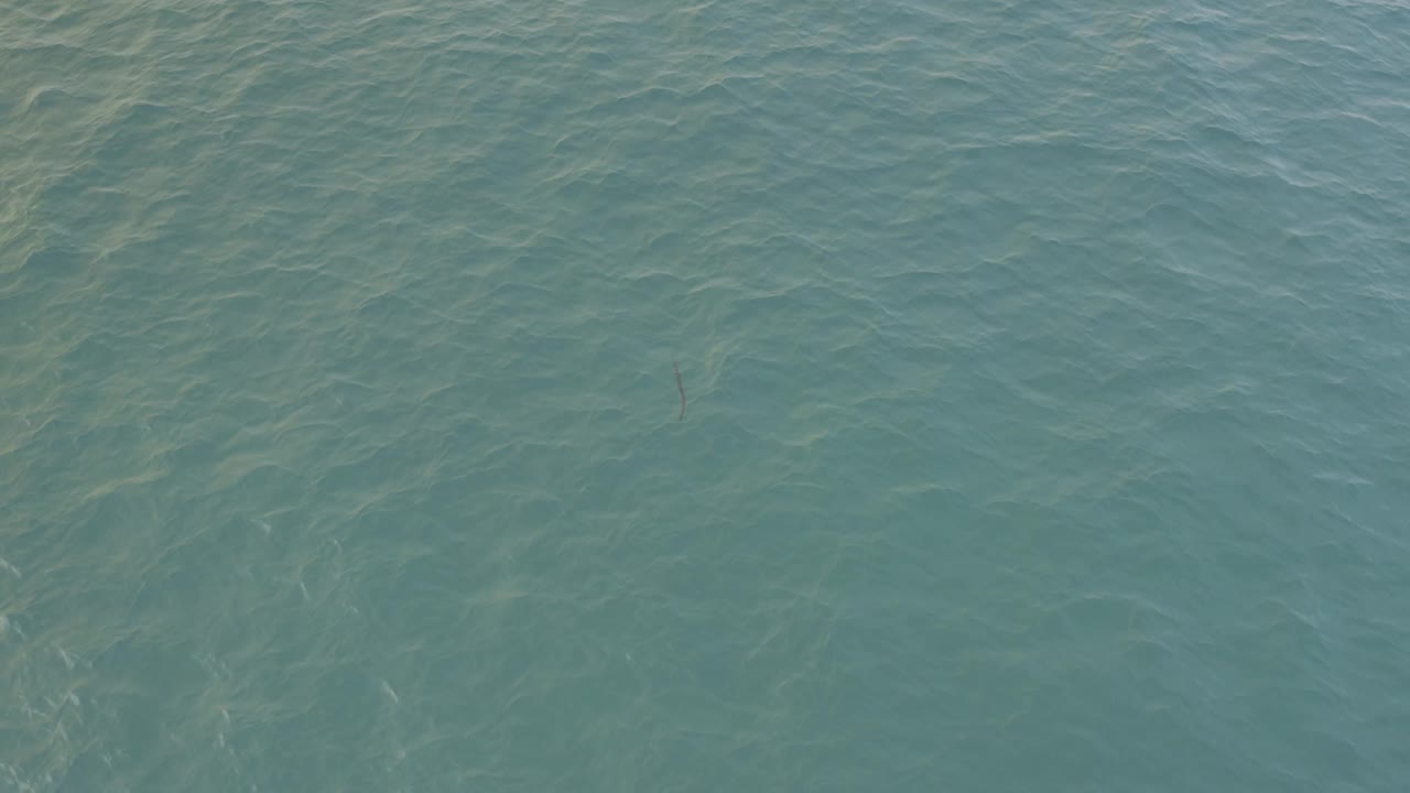 Overhead Baja California Sur water view with turquoise ripples and a faint slender fish shape lower in frame, with no visible people.