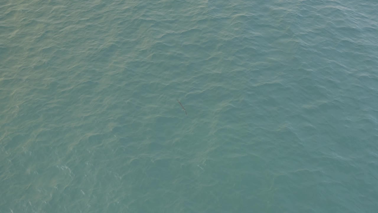 At 0:01, the Baja California Sur water appears slightly brighter, with faint sandy shapes beneath the rippled surface and no visible people.
