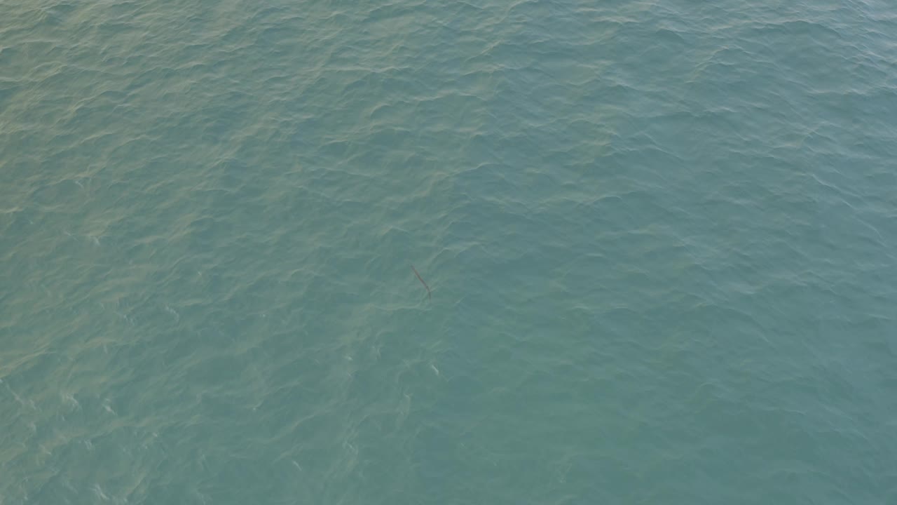At 0:02, calm teal water in Baja California Sur shows a thin dark line below the ripples, with no visible people or shoreline.