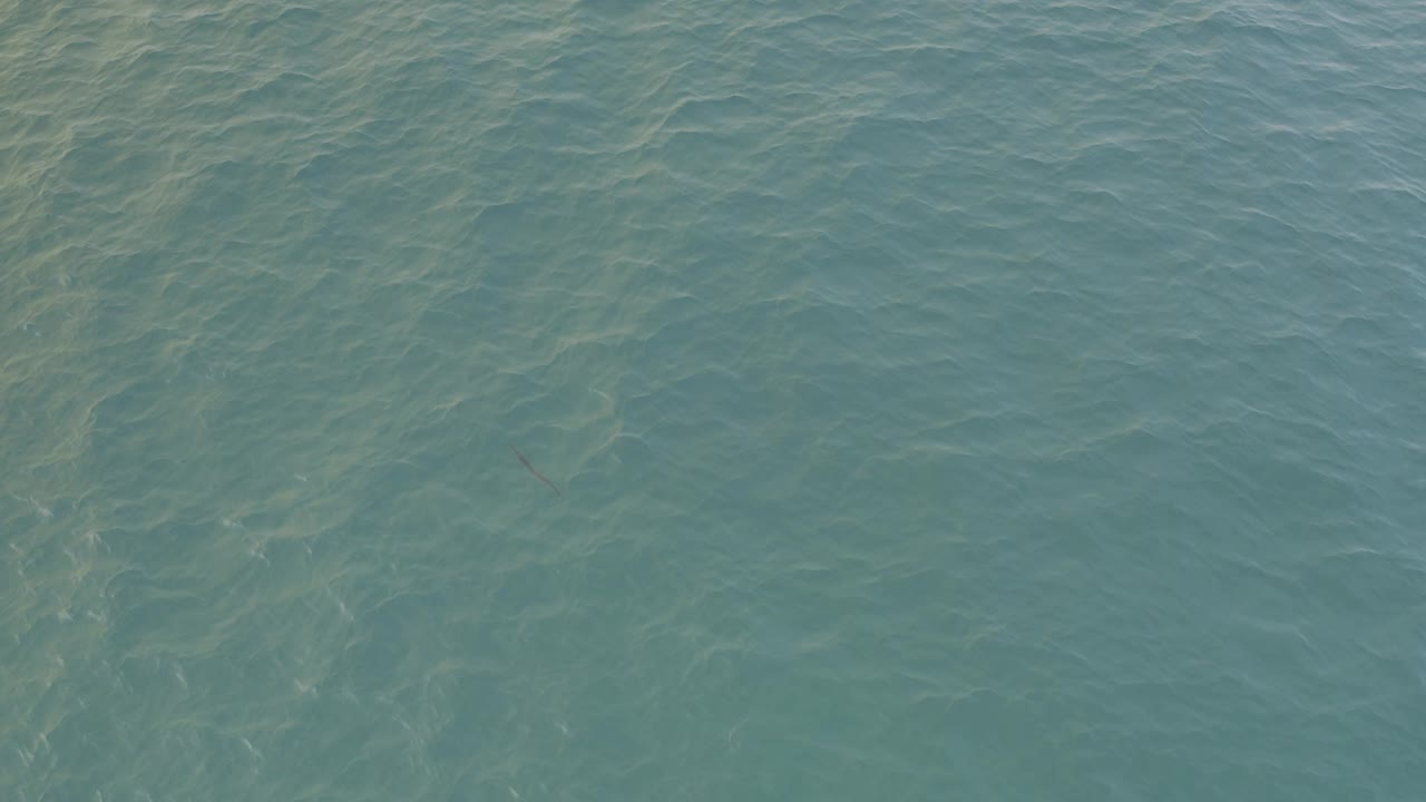 Aerial view of green ocean water in Baja California Sur, Mexico, with faint surface ripples and no visible people.