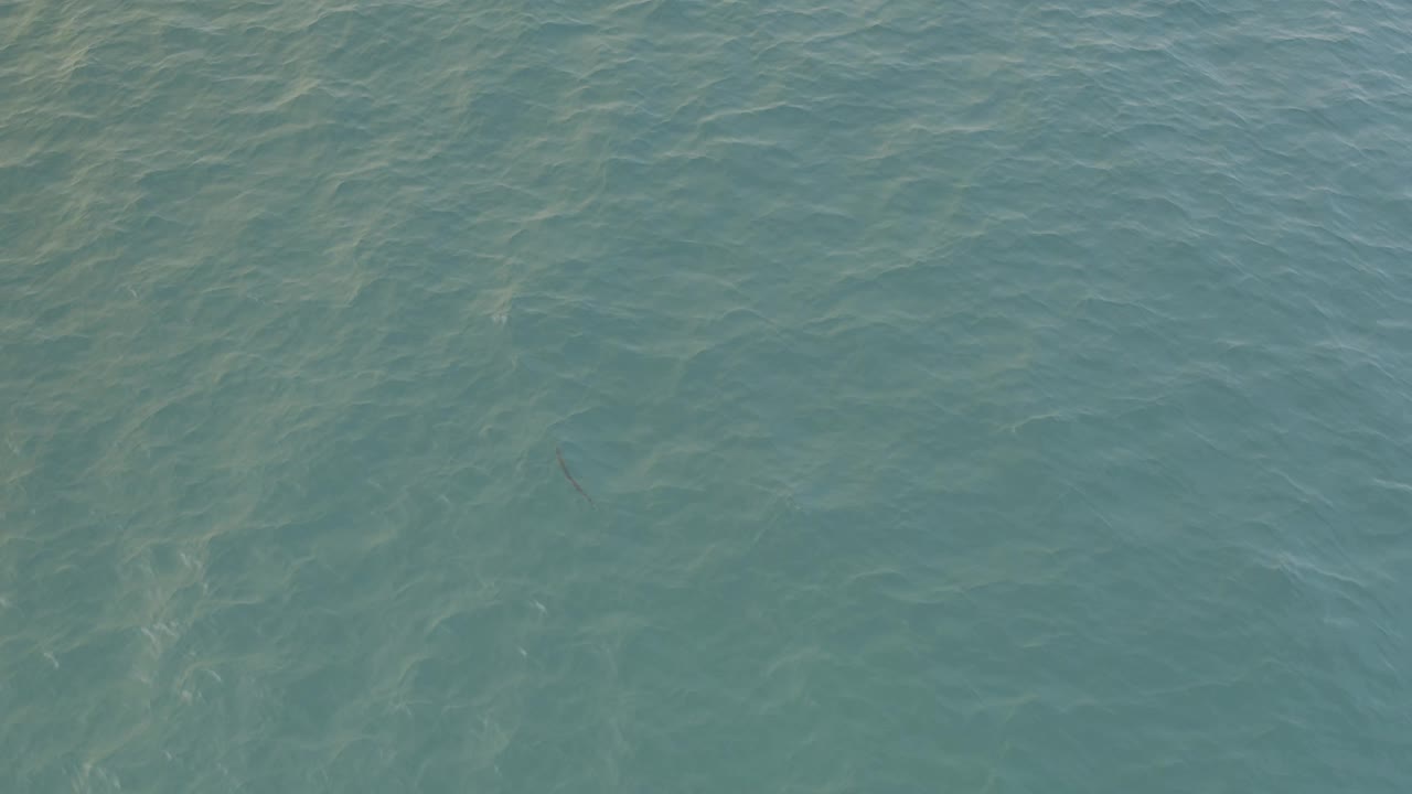 Overhead view of green Pacific water in Baja California Sur, Mexico, with pale underwater streaks and no visible people or vessels.