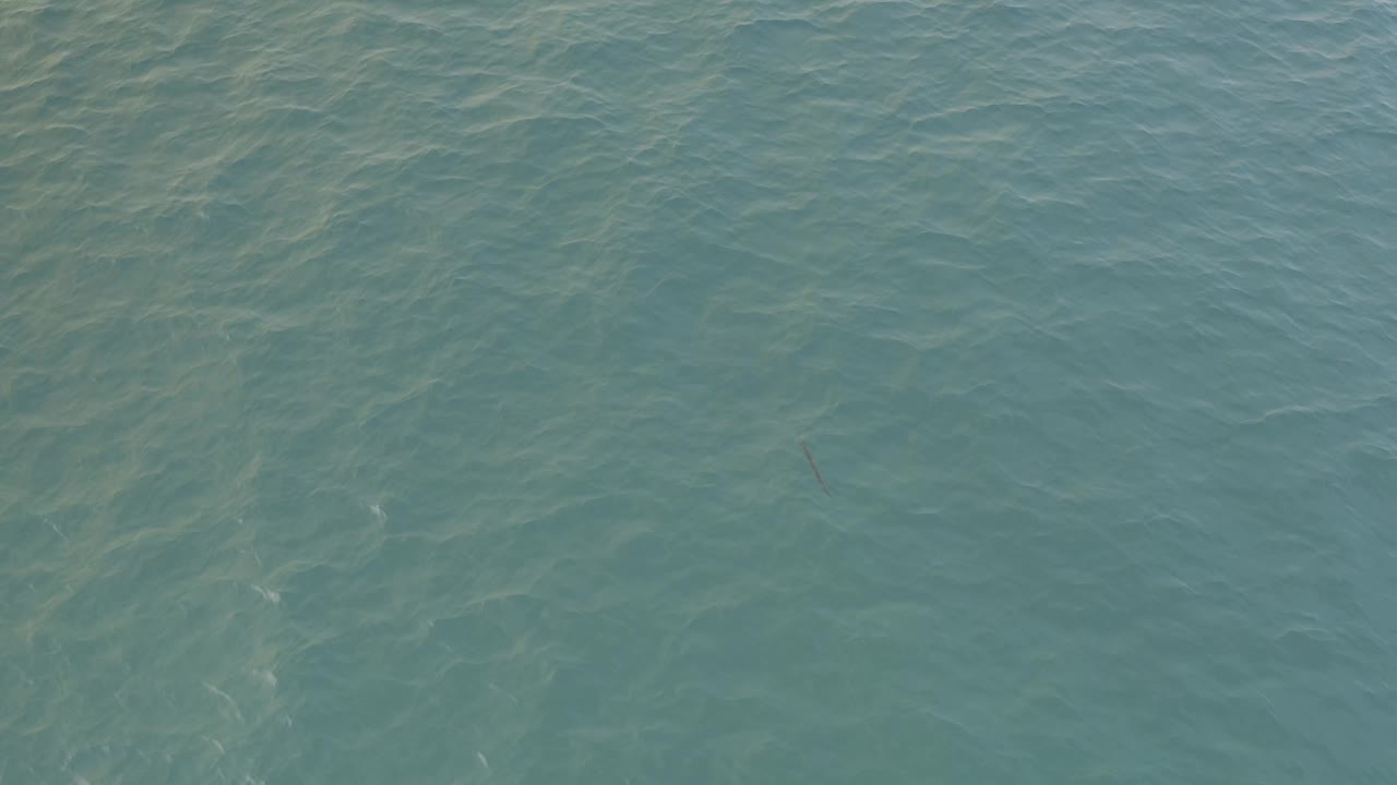 Aerial ocean frame from Baja California Sur, Mexico, with muted blue-green ripples spread evenly across the image and no visible people.