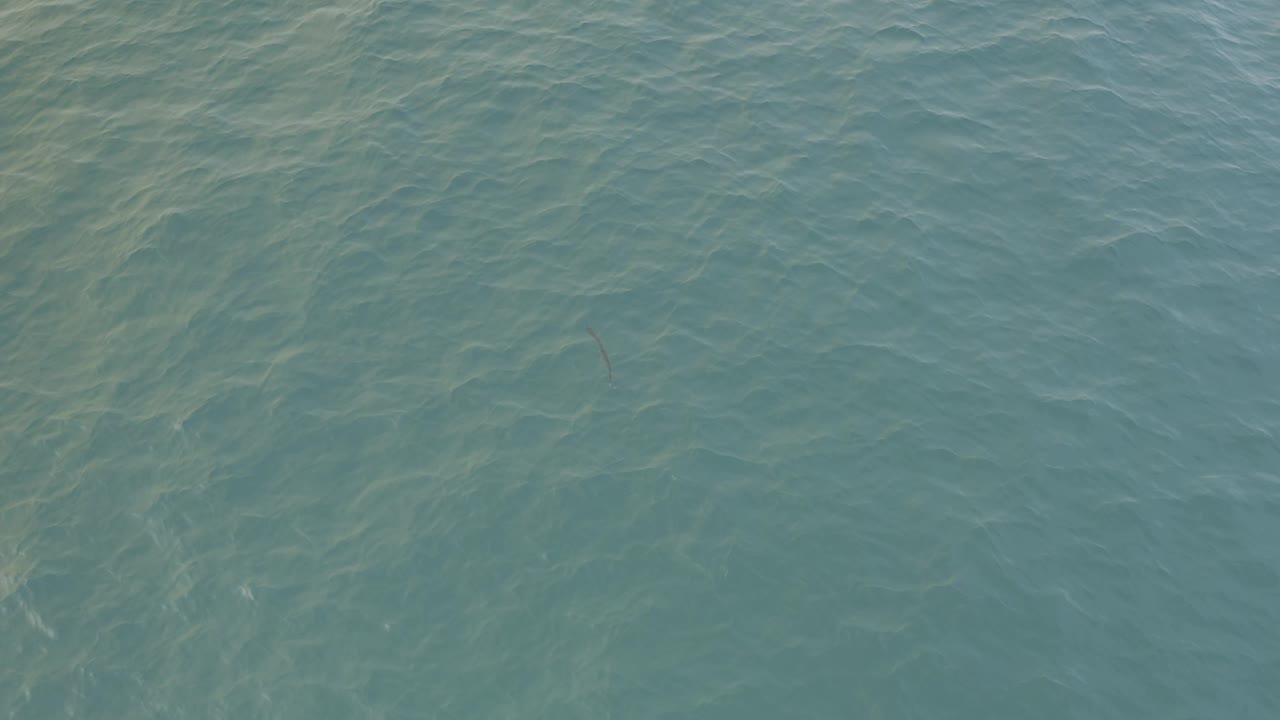 An overhead frame of Baja California Sur water shows layered ripples and a small dark shape near the lower middle, with no boats, shoreline, or visible people.