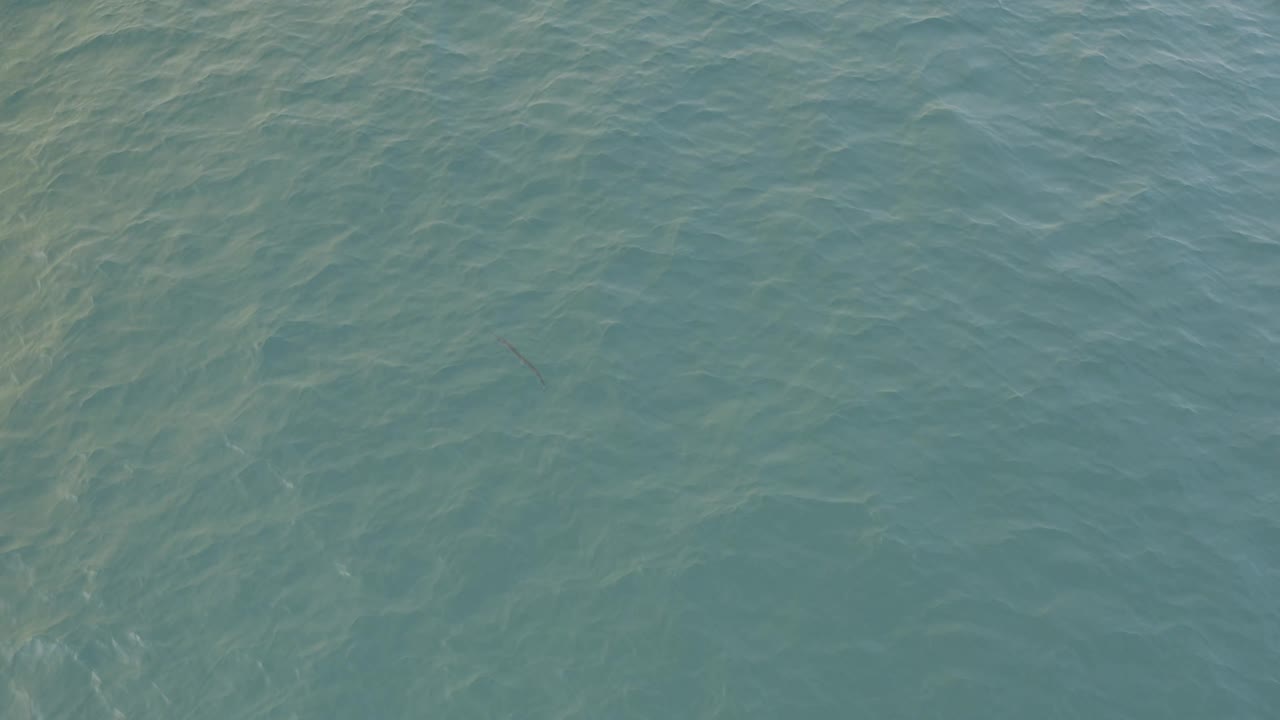 Second frame shows rippling Baja California Sur water with pale reflected streaks and a small dark fish form slightly below the surface, no visible people.