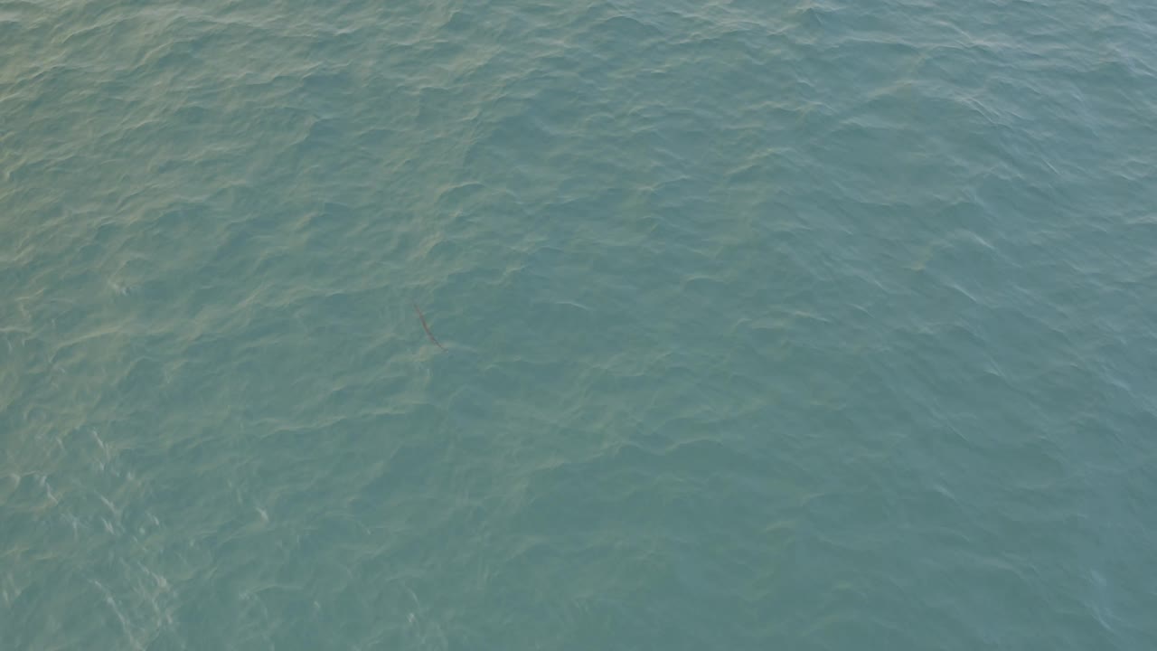 Fourth frame shows blue ocean surface in Baja California Sur Mexico with soft wave texture, muted sun streaks, and faint underwater fish detail, no visible people.