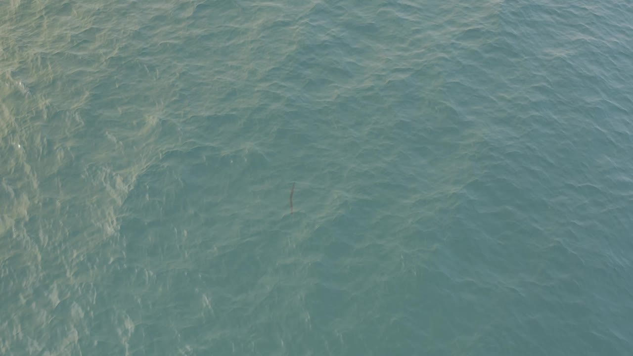 Blue ocean water in Baja California Sur fills the frame, with a lighter underwater band along the left side and no visible people.