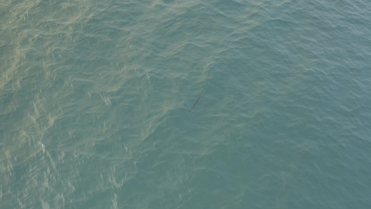 A close view of Baja California Sur water shows turquoise tones, faint surface highlights, and no visible people or shoreline.
