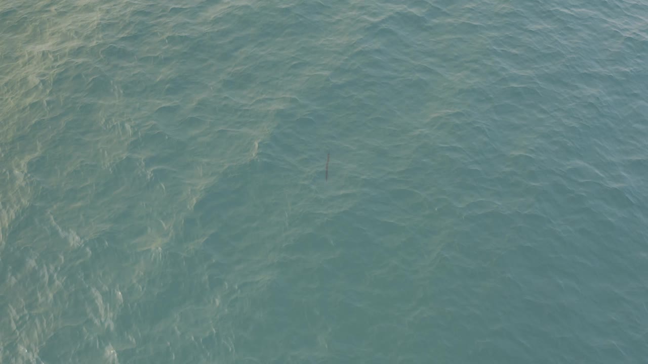 Softly rippled Baja California Sur water fills the frame, including a faint dark vertical mark in the water and no visible people.