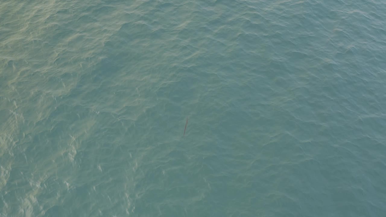 Rippling clear ocean surface in Baja California Sur, Mexico, with pale submerged forms visible through the water and no visible people.