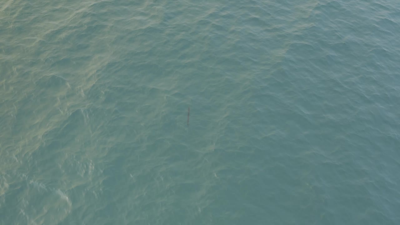 Green-blue ocean water in Baja California Sur, Mexico, with a small thin dark shape below the surface and no visible people.