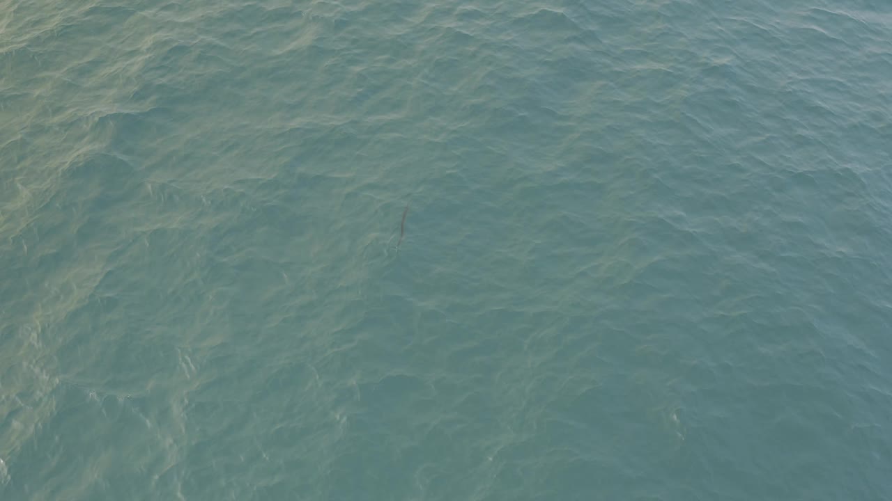 Clear ocean water with visible underwater texture