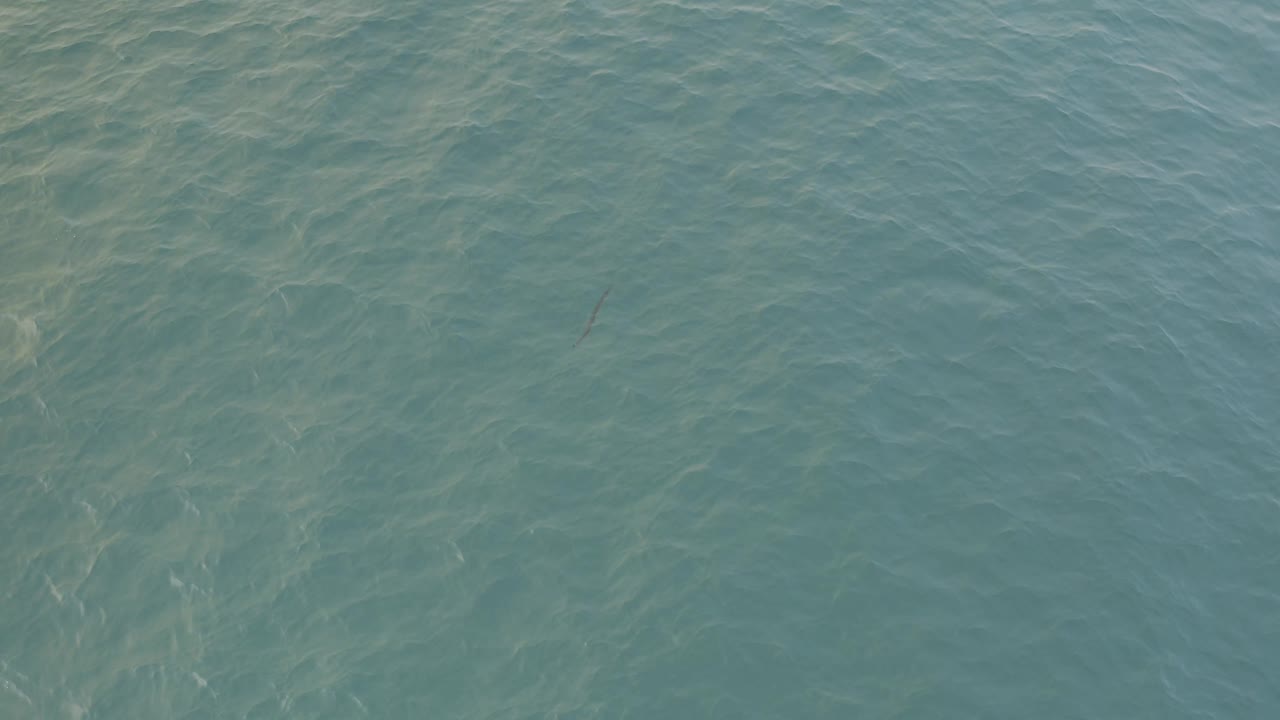Aerial-looking frame of Baja California Sur water with soft teal color, layered ripple patterns, a faint fish shape near the lower middle, and no visible people.