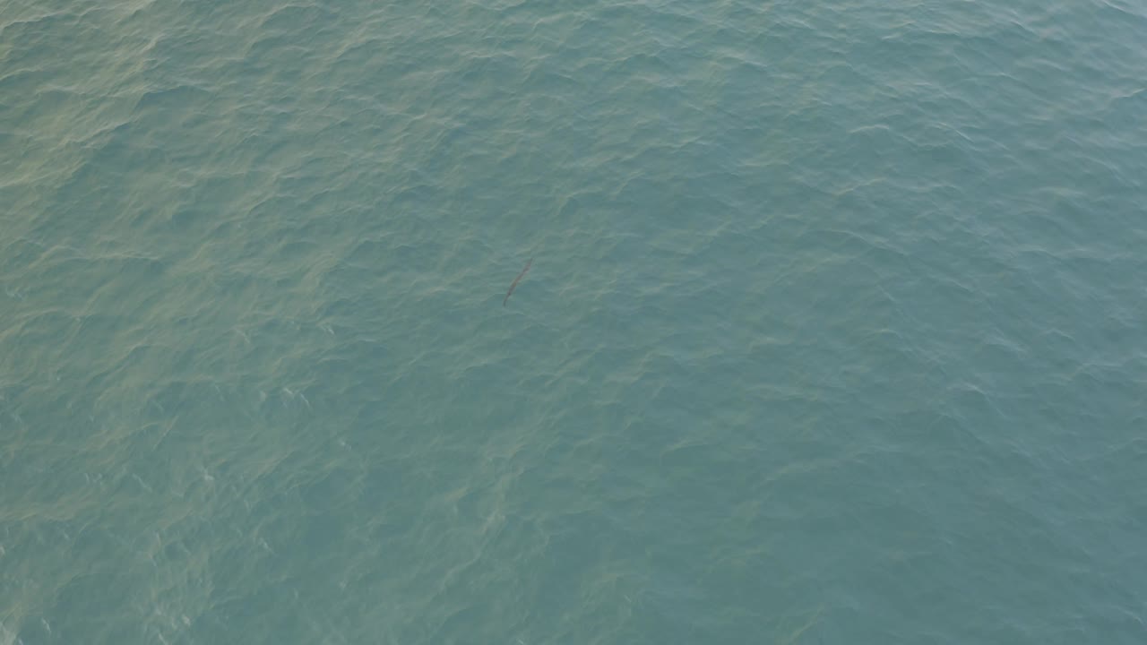 Pale turquoise sea water in Baja California Sur fills the frame with faint underwater streaks and no visible people.